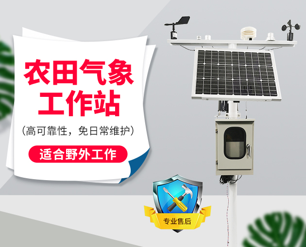 農業氣象站助力西梅種植 農業氣象站助力西梅種植